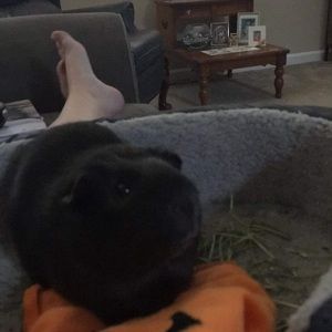 Meet your Posher, Maggie